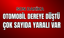 Van'ın Edremit İlçesinde Otomobil Dereye Uçtu: Çok sayıda yaralı var!