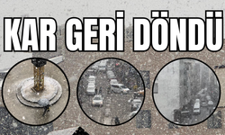 Van Beyaza Büründü: Sağanak Yerini Kara Bıraktı