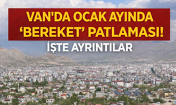 Van’da Görenler Gözlerine İnanamadı! Ocak Ayında "Bereket" Patlaması!