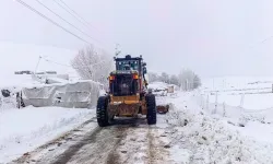 Van’da 4 Yerleşim Yerinin Yolu Kapandı!