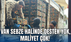 Van Sebze Hali: Sebze Pahalı Çünkü Herkes Zorda!