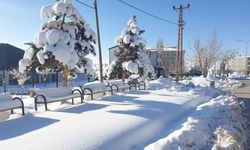 Van Başkale’de Mart Şoku: Eksi 18 Dereceyi Gördü