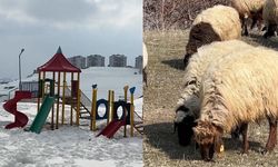 40 Kilometrede Kış ve Bahar Bir Arada