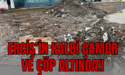 Erciş’in Göbeğinde Çöp Dağları: Salihiye Mahallesi ve Merkez Caddeler Tepki Çekiyor