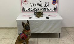 Van İpekyolu’nda Uyuşturucu Operasyonu