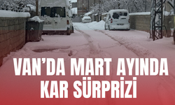Van’da Mart Sürprizi: Bahar Beklenirken Kent Yeniden Beyaza Büründü
