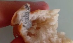 Ekmeğin İçinden Vida Çıktı