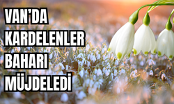 Van’da Kardelenler Baharı Müjdeledi