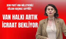 DEM Partili Sayyiğit: Van halkı artık icraat bekliyor!