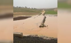 Diyarbakır’da Sağanak Felaketi: 45 Koyun Sulara Kapılarak Telef Oldu