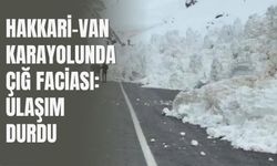 Hakkari-Van Karayolunda Çığ Faciası: Ulaşım Durdu