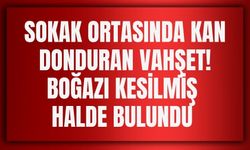 Sokak Ortasında Kan Donduran Vahşet! Boğazı Kesilmiş Halde Bulundu