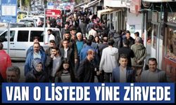 Van ve Hakkari İşsizlikte Türkiye Zirvesinde