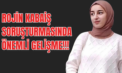 Van'da Hayatını Kaybeden Rojin Kabaiş Dosyasında Telefon Neden Çözülmedi?