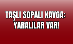 Yüksekova’da Taşlı Sopalı Kavga: 1’i Polis 2 Yaralı