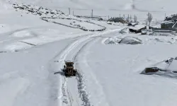 Van’da Kar Felaketi: 35 Yerleşim Yeri Ulaşıma Kapalı