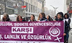 Vanlı Kadınlar Sokaklara İniyor: 8 Mart Eylem Planı Belli Oldu!