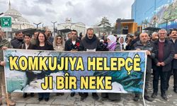 Van'dan TBMM'ye Flaş Çağrı: Halepçe'yi Soykırım Olarak Tanıyın!