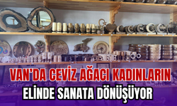 Van’da Kadınlar Cevizi Sanata İşliyor!