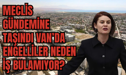 Van’da Engelli Gerçeği: 70 Bin Kişiden Sadece 1003’ü Çalışıyor!