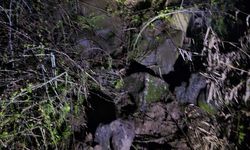 Diyarbakır’da Çocukların Üzerine  Kaya Düştü: Ölü Ve Yaralı Var!