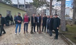 Van’da 50 Bin Meyve Fidanı Toprakla Buluşuyor