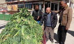 Van’da Çiriş Otuna Yoğun İlgi Var!