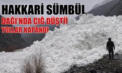 Hakkari Sümbül Dağı’nda Çığ Düştü