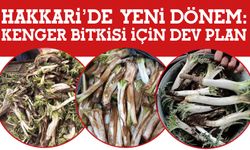 Hakkâri’de Yeni Dönem: Kenger Bitkisi İçin Dev Plan!