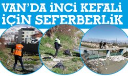 Van’da İnci Kefali İçin Seferberlik! Dere Yatakları Temizleniyor!