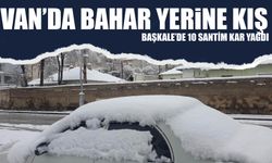 Van’da Bahar Yerine Kış: Başkale’de 10 Santim Kar Yağdı!