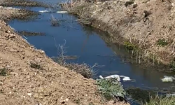 Gevaş Devlet Hastanesi’nde Büyük Risk!