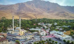 Gevaş’ta Kurtuluş Günü Bu Yıl Kutlanmadı