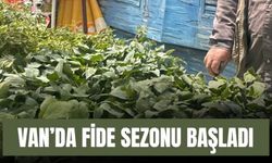 Van’da Fide Sezonu Başladı