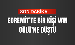 Son Dakika: Van Gölü’ne Düşen Şahıs  İçin Arama Çalışması Başlatıldı!