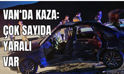 Van’da kaçak göçmenleri taşıyan otomobil kaza yaptı: 7 yaralı