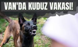 Van'da Kuduz Vakası!