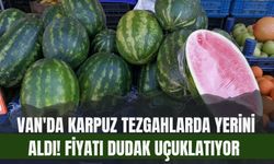 Van'da Karpuz Tezgahlarda Yerini Aldı! Fiyatı Dudak Uçuklatıyor