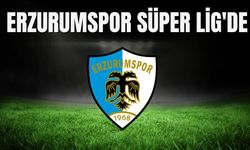 Erzurumspor Süper Lig'de