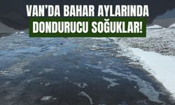 Van’da Bahar Aylarında Dondurucu Soğuklar!