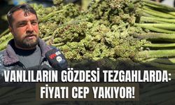 Vanlıların Gözdesi Tezgahlarda: Fiyatı Cep Yakıyor!