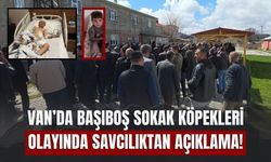 Van’da Başıboş Sokak Köpekleri Olayında Savcılıktan Açıklama!