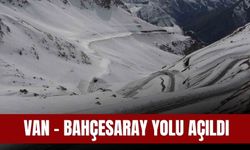 Van - Bahçesaray Yolu Açıldı