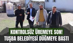 Tuşba’da Sahipsiz Köpekler İçin Kapsamlı Kayıt ve Kontrol Çalışması