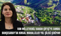 Van Milletvekili Bakan Çiftçi’ye sordu: Bahçesaray’da Kırsal Mahalleler Yol Çilesi Çekiyor!