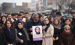 Van'da Şüpheli Şekilde Yaşamını Yitiren  Rojin Kabaiş Cinayetine Genel Başkan'dan Dikkat Çeken Tepki Geldi!