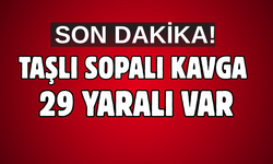 Arazi anlaşmazlığı taşlı sopalı kavgaya dönüştü: 29 yaralı var!