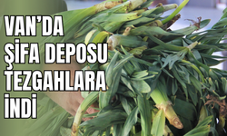 Van’da doğal antibiyotik çiriş otu seyyar tezgahlarda yerini aldı