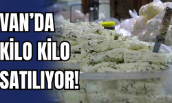Van’da kilo kilo satılıyor! Kimi kalsiyum deposu diyor kimi zararlı!