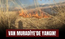 Van Muradiye'de Yangın!